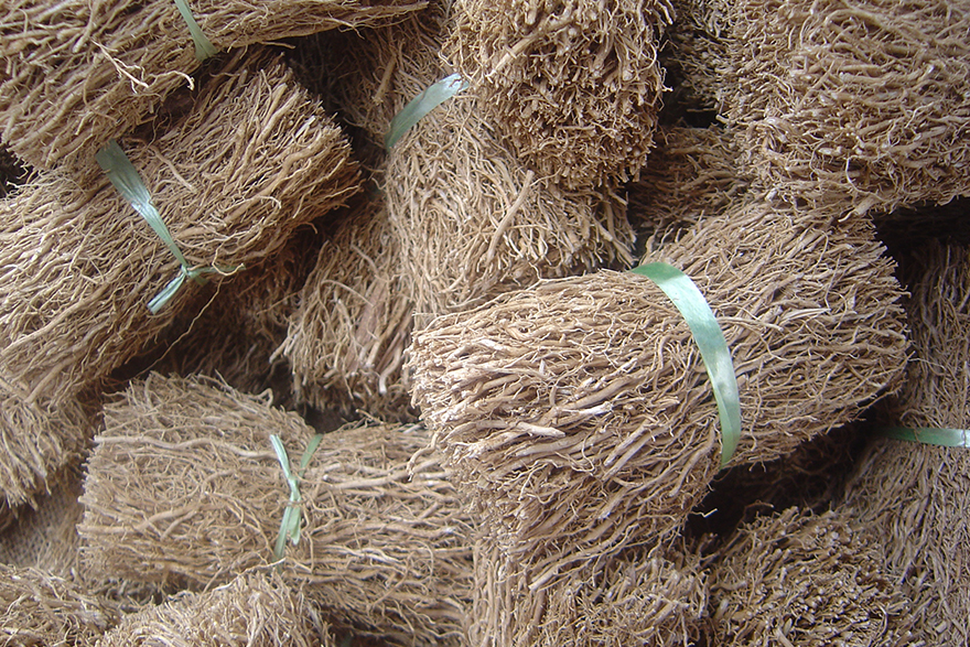 Image of Vetiver Root